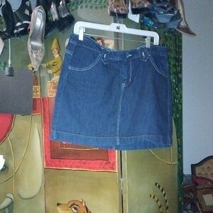 Paper Denim & Cloth Indigo Mini Skirt